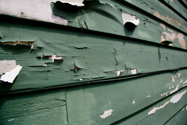 Best Junk Removal for Events  in Coeur Dalene, ID